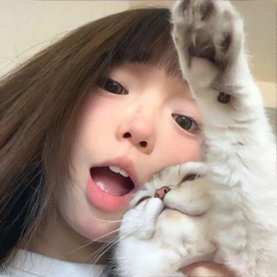 奇犬良缘